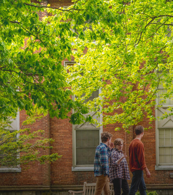 students walking under a tree on the annapolis campus